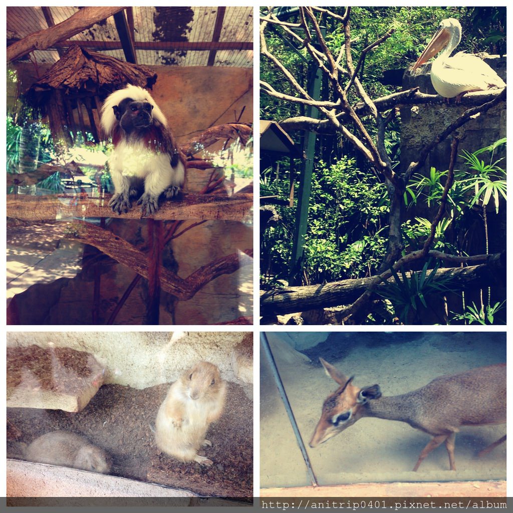 Pictures2